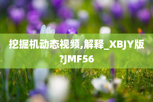 挖掘机动态视频,解释_XBJY版?JMF56