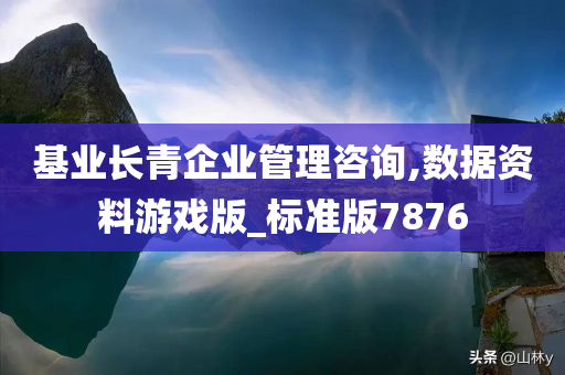 基业长青企业管理咨询,数据资料游戏版_标准版7876