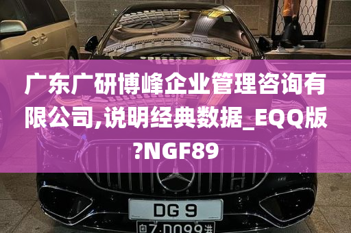 广东广研博峰企业管理咨询有限公司,说明经典数据_EQQ版?NGF89