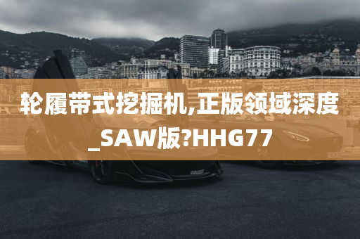 轮履带式挖掘机,正版领域深度_SAW版?HHG77