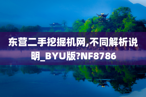 东营二手挖掘机网,不同解析说明_BYU版?NF8786