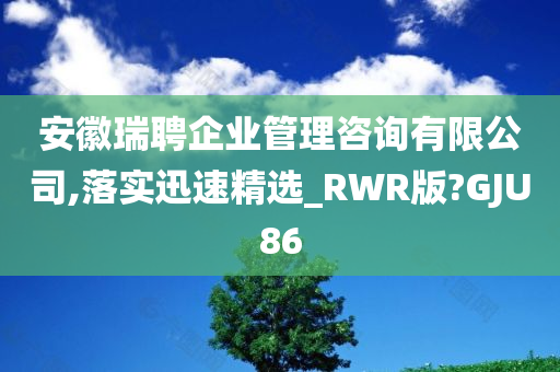 安徽瑞聘企业管理咨询有限公司,落实迅速精选_RWR版?GJU86