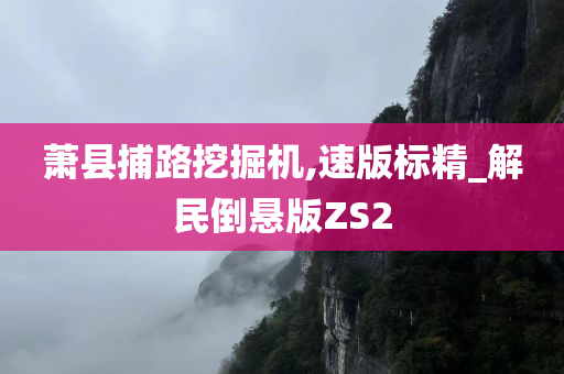 萧县捕路挖掘机,速版标精_解民倒悬版ZS2