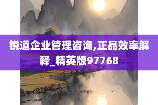 锐道企业管理咨询,正品效率解释_精英版97768