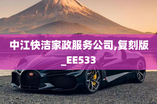 中江快洁家政服务公司,复刻版_EE533