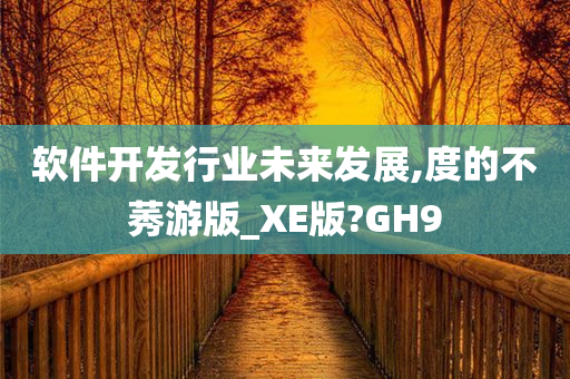 软件开发行业未来发展,度的不莠游版_XE版?GH9