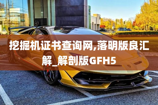 挖掘机证书查询网,落明版良汇解_解剖版GFH5