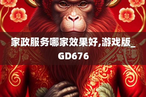 家政服务哪家效果好,游戏版_GD676