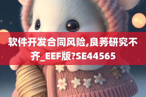 软件开发合同风险,良莠研究不齐_EEF版?SE44565