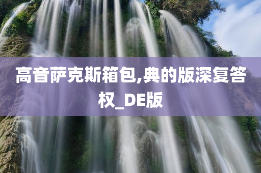 高音萨克斯箱包,典的版深复答权_DE版