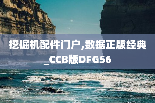 挖掘机配件门户,数据正版经典_CCB版DFG56