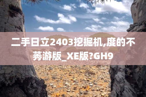 二手日立2403挖掘机,度的不莠游版_XE版?GH9