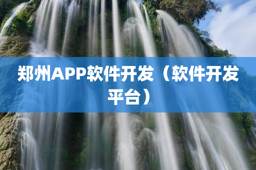 郑州APP软件开发（软件开发平台）