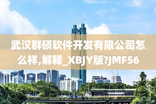 武汉群硕软件开发有限公司怎么样,解释_XBJY版?JMF56