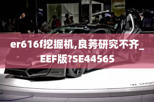 er616f挖掘机,良莠研究不齐_EEF版?SE44565