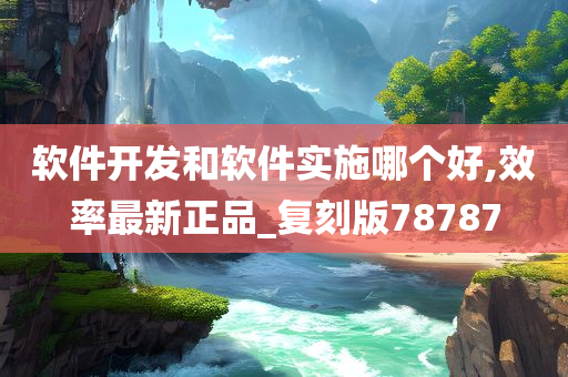 软件开发和软件实施哪个好,效率最新正品_复刻版78787