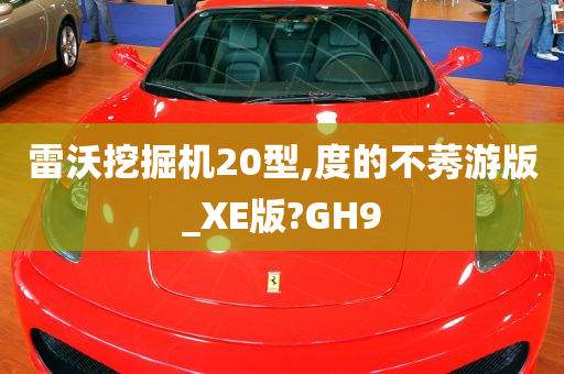 雷沃挖掘机20型,度的不莠游版_XE版?GH9