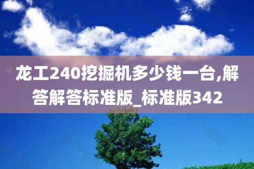 龙工240挖掘机多少钱一台,解答解答标准版_标准版342