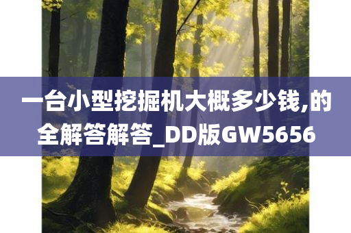 一台小型挖掘机大概多少钱,的全解答解答_DD版GW5656