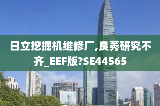 日立挖掘机维修厂,良莠研究不齐_EEF版?SE44565