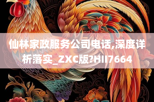 仙林家政服务公司电话,深度详析落实_ZXC版?HII7664