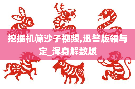 挖掘机筛沙子视频,迅答版领与定_浑身解数版