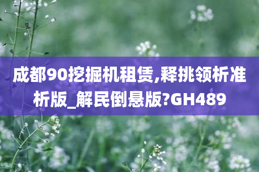 成都90挖掘机租赁,释挑领析准析版_解民倒悬版?GH489