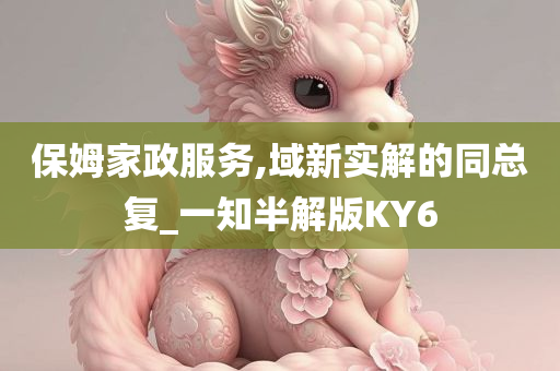 保姆家政服务,域新实解的同总复_一知半解版KY6