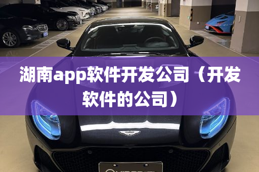 湖南app软件开发公司（开发软件的公司）