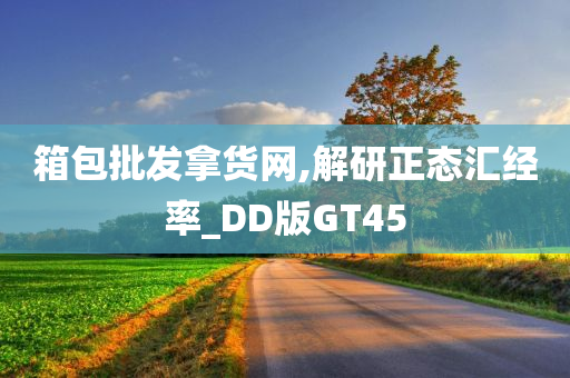 箱包批发拿货网,解研正态汇经率_DD版GT45