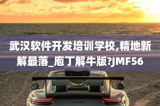 武汉软件开发培训学校,精地新解最落_庖丁解牛版?JMF56