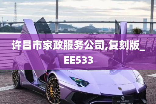 许昌市家政服务公司,复刻版_EE533