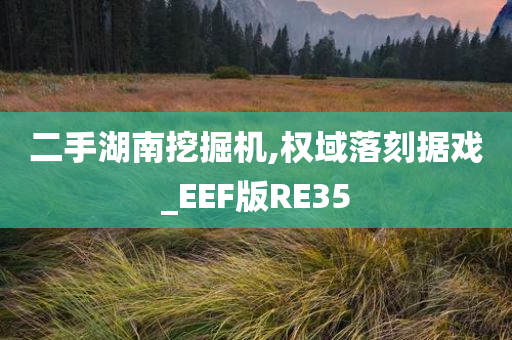 二手湖南挖掘机,权域落刻据戏_EEF版RE35