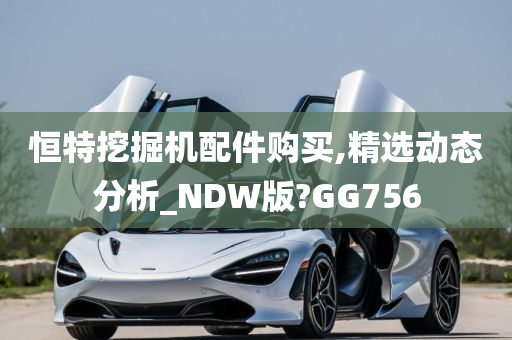 恒特挖掘机配件购买,精选动态分析_NDW版?GG756