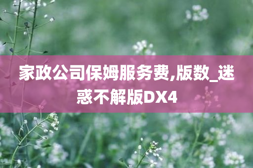 家政公司保姆服务费,版数_迷惑不解版DX4