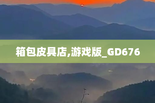 箱包皮具店,游戏版_GD676