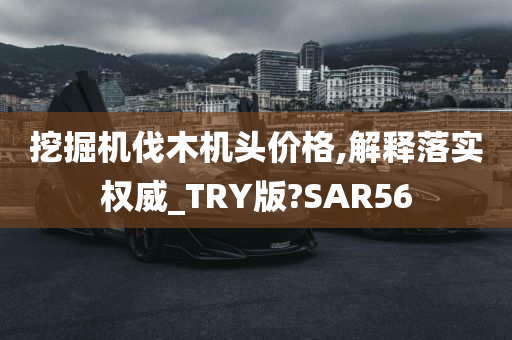 挖掘机伐木机头价格,解释落实权威_TRY版?SAR56