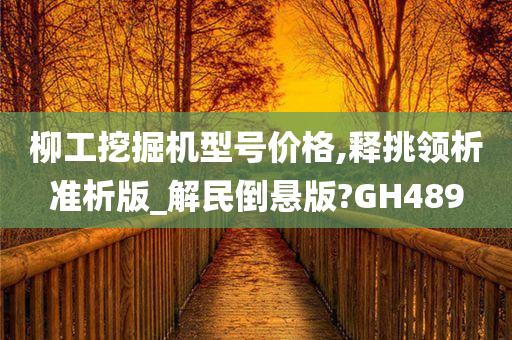 柳工挖掘机型号价格,释挑领析准析版_解民倒悬版?GH489