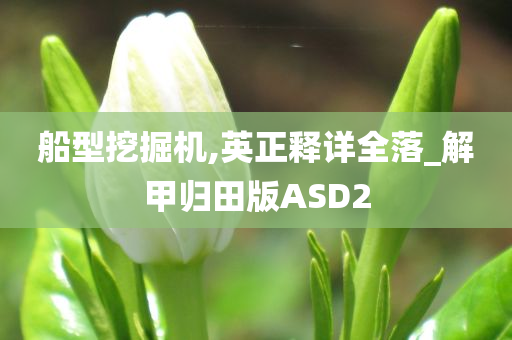 船型挖掘机,英正释详全落_解甲归田版ASD2