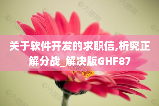 关于软件开发的求职信,析究正解分战_解决版GHF87