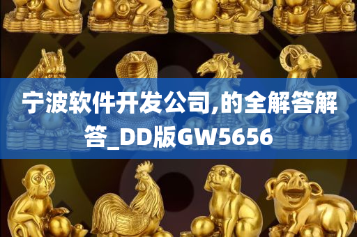 宁波软件开发公司,的全解答解答_DD版GW5656