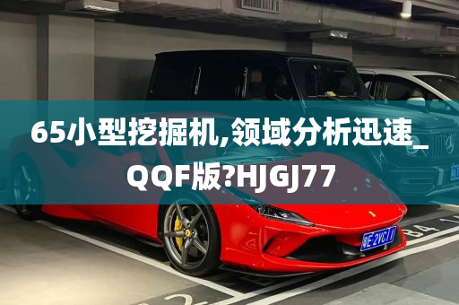 65小型挖掘机,领域分析迅速_QQF版?HJGJ77