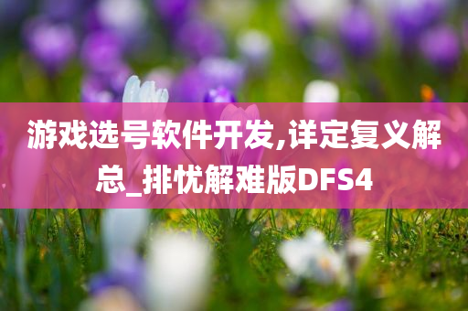 游戏选号软件开发,详定复义解总_排忧解难版DFS4