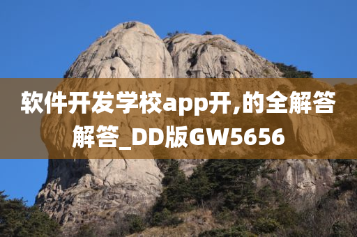 软件开发学校app开,的全解答解答_DD版GW5656