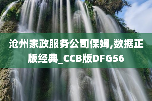 沧州家政服务公司保姆,数据正版经典_CCB版DFG56