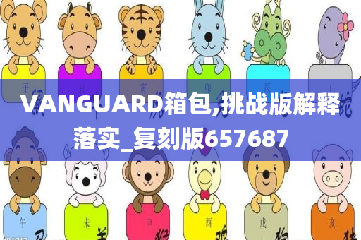 VANGUARD箱包,挑战版解释落实_复刻版657687