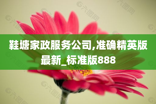 鞋塘家政服务公司,准确精英版最新_标准版888