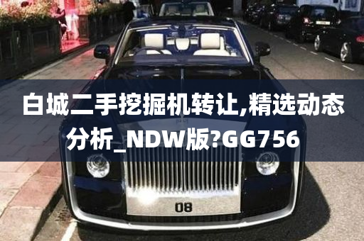 白城二手挖掘机转让,精选动态分析_NDW版?GG756