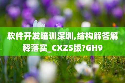 软件开发培训深圳,结构解答解释落实_CXZS版?GH9