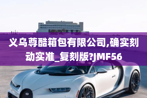 义乌尊酷箱包有限公司,确实刻动实准_复刻版?JMF56